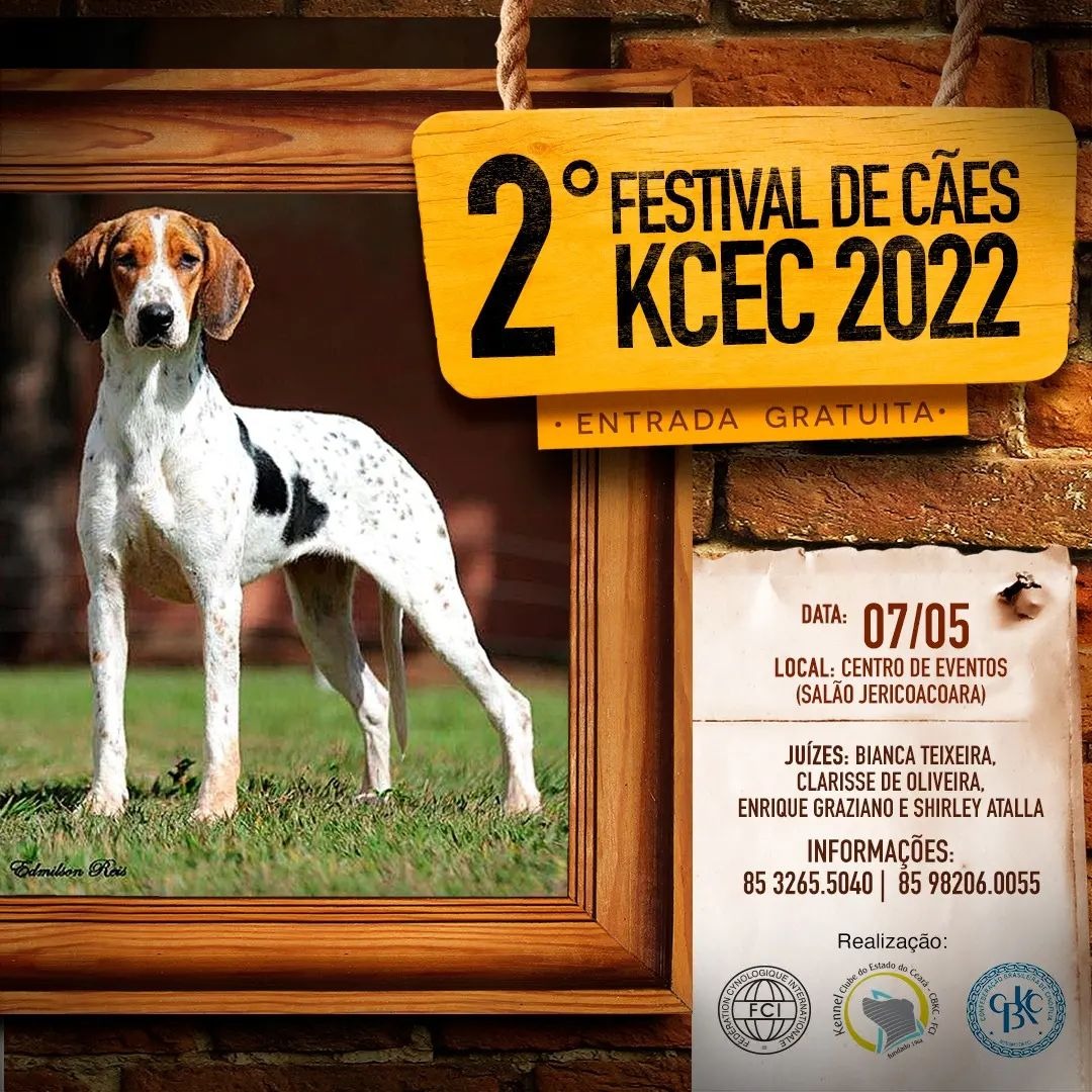 2º Festival de Cães de 2022 do KCEC